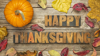 Thanksgiving , Festive celebration, Autumn vibes, Gratitude HD wallpaper