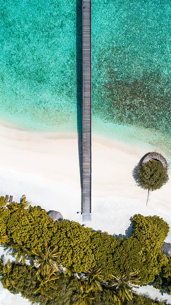 Palm trees, aerial view, beach, beach, pier HD phone wallpaper