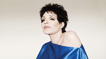 Liza Minnelli, Music fanart, Artistic expression, Musical legend HD wallpaper