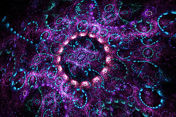 Abstract, Violet, Pattern, Fractal, Glow, Purple, Confused, Intricate HD wallpaper