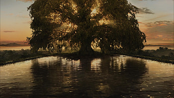 Darren Aronofsky, The Fountain, 348 HD wallpaper