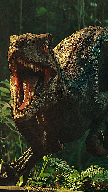 Jurassic World dinosaur, Blue velociraptor , Movie franchise, Action adventure HD phone wallpaper