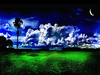 Nature, Trees, Grass, Clouds, Moon, Greens, Meadow HD wallpaper