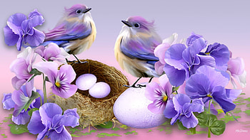 blue springtime, purple, blue, birds, springtime HD wallpaper