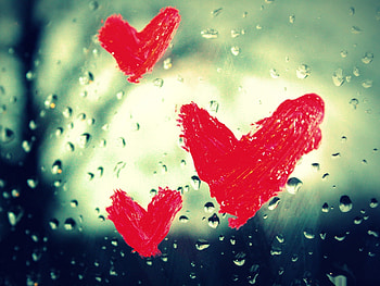 Window hearts, valentine, window, love, red, heart HD wallpaper