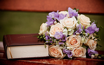 Flowers, Roses, Registration, Typography, Bouquet, Notebook, Notepad HD wallpaper