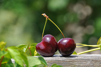 Sweet Cherry, Food, Cherry, Berries, Ripe HD wallpaper