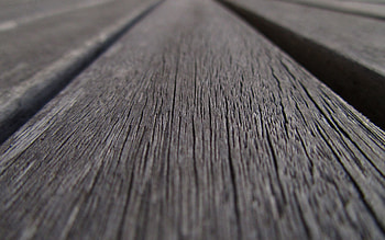 Macro, Wood, Tree, Surface, Grey, Bw, Chb HD wallpaper