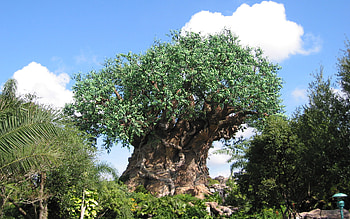 Disney, , Walt Disney World HD wallpaper
