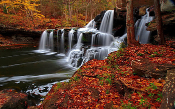 Waterfall-in-Autumn, Nature, in, Autumn, Waterfall HD wallpaper