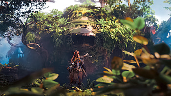 Aloy Horizon Forbidden West 2024, aloy, horizon-forbidden-west, games, 2024-games, ps5-games, ps-games, ps4-games, video-games HD wallpaper