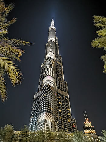 Stunning night view of Burj Khalifa illuminated against the Dubai skyline, framed by palm trees. HD phone wallpaper