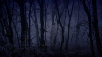 Creepy Forest Creepy, Forest, Fog HD wallpaper