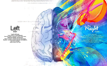 Left Brain Right Brain HD wallpaper