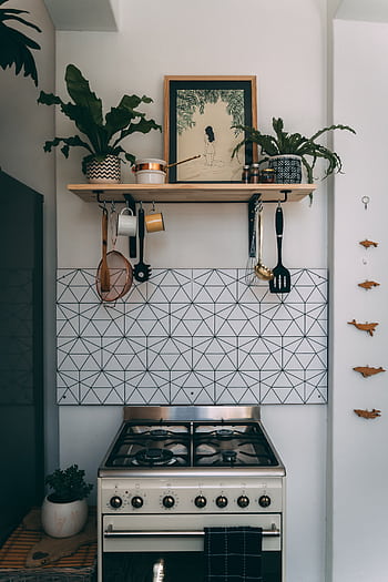 Contemporary kitchen setup featuring a gas stove, minimalist decor, and greenery. HD phone wallpaper