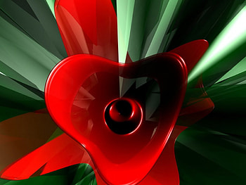 Birth, leaves, nature, red, flower HD wallpaper