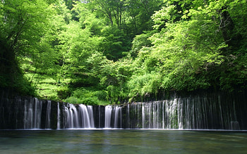 Landscape, Water, Trees, Waterfalls HD wallpaper