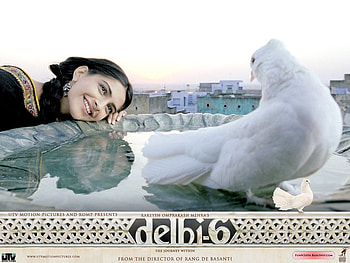 Delhi, actress HD wallpaper