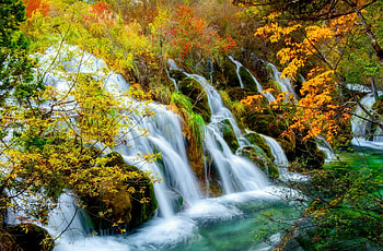 Autumn water cascades, colorful, bushes, waterfall, cascades, trees, autumn, water, forest, stream HD wallpaper