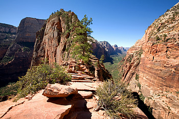 Zion National Park, gallery, Utah, Beautiful HD wallpaper