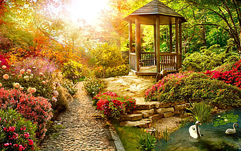 Paradise garden, sunshine, rays, sunlight, glow, gazebo, garden, paradise, beautiful, grass, park, summer, wildflowers, pretty, lovely HD wallpaper