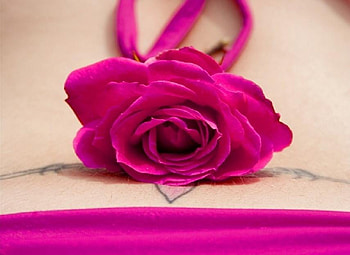 tattoo in pink, plants, soft, delecte, nice, rose, blossoms, bud, nature, flowers, blooms, lovely HD wallpaper