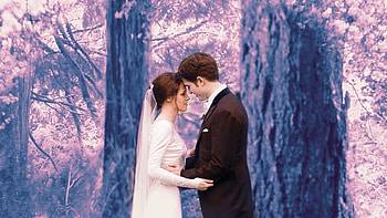 Twilight Breaking Dawn Part 1, dawn, twilight, vampire, breaking HD wallpaper