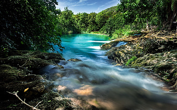 Mountain river, Green water, Forest, Trees, River HD wallpaper