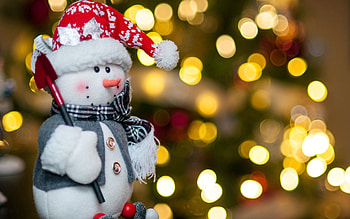 Holidays, New Year, Holiday, Toy, Fir, Christmas Tree HD wallpaper
