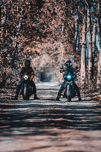 Motorcycles, Road, Forest, Motorcycle, Bike, Motorcyclists, Bikers HD phone wallpaper