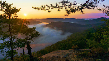A foggy Red River Gorge sunrise, Kentucky, trees, colors, sky, usa, landscape HD wallpaper