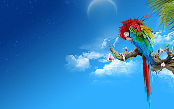 Art, Parrots, Feather, Sit, Multicolored, Motley, Branch HD wallpaper