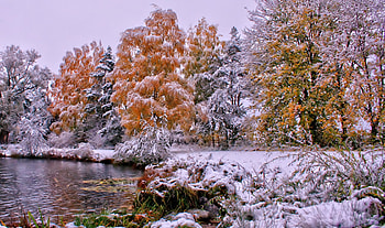 Early winter, winter, frost, cold, November, early, oaks, nature, forest, rivers HD wallpaper