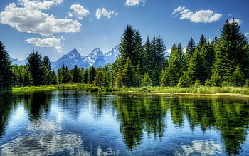 Green Trees Blue Lake Reflect, blue, reflection, clouds, trees, sky, nature, forest, lake HD wallpaper