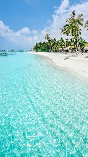 Beach Background, Adorable, Background HD phone wallpaper