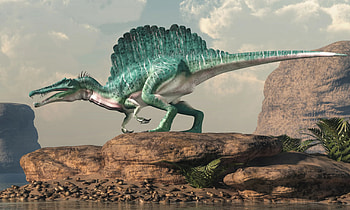 Spinosaurus steckbrief 8, Dinosaurier merkmale, Informational resource, Prehistoric facts HD wallpaper