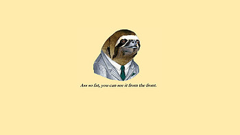 Funny Sloth Face Meme HD wallpaper