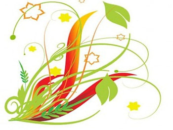 Greenery, vines, leaves, stars, corner HD wallpaper