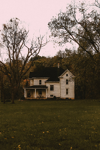 Nature, Trees, Autumn, Forest, House, Courtyard, Yard, Fazenda HD phone wallpaper