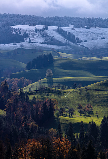 Landscape, Winter, Nature, Trees, Autumn, Hills HD phone wallpaper