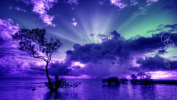 Lovely, clouds, purple, nice HD wallpaper