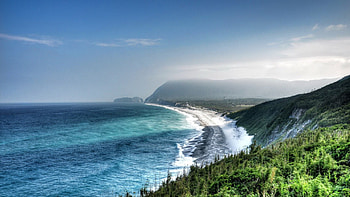 wonderful seacoast, mist, sea, cliffs, coast, trees, surf HD wallpaper