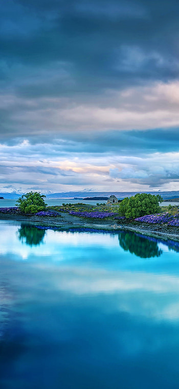Island, 11 , Flower island sea, Vibrant colors HD phone wallpaper
