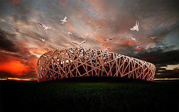 Animals, Nature, Birds, Sky, Structure, Flight, Design, Construction HD wallpaper