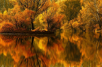 Autumn is awesome, landscapes, trees, waters, forest HD wallpaper