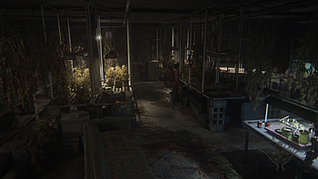 Jackson (Den), Dina (The Last of Us), The Last of Us Part II HD wallpaper