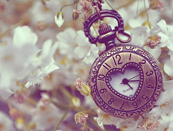 Hearted clock, time, numbers, clock, flowers, heart, things HD wallpaper