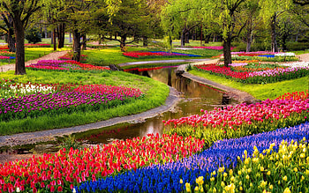 Flower Garden, Autumn blooms, Vibrant colors, Fall foliage HD wallpaper