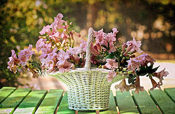 Flowers, Blur, Smooth, Basket HD wallpaper