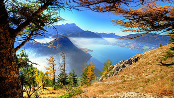 Lake Attersee, Austria, reflections, landscape, trees, water, mountains, alps HD wallpaper